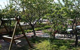Panda Garden House